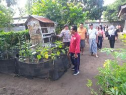 Program Ketahanan Pangan Digencarkan di Desa Jagaraga