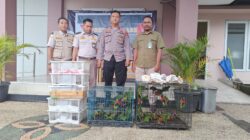Balai Karantina NTB dan Polisi Gagalkan Perdagangan Burung Ilegal di Pelabuhan Lembar