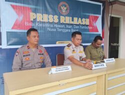 Sinergi BKHIT NTB dan Polri Amankan 81 Burung Satwa Dilindungi di Pelabuhan Lembar