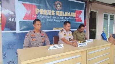 Sinergi BKHIT NTB dan Polri Amankan 81 Burung Satwa Dilindungi di Pelabuhan Lembar