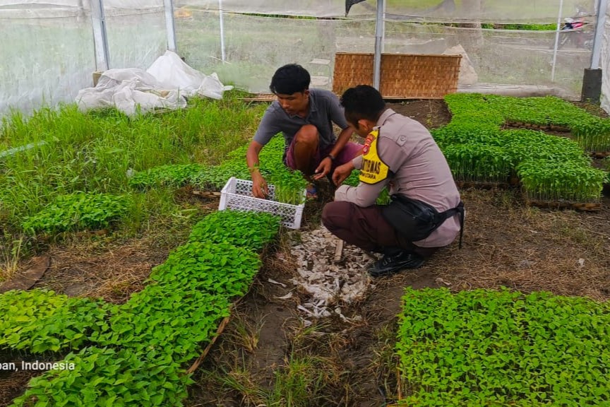 Strategi Polres Lombok Barat Tingkatkan Kemandirian Pangan Masyarakat Desa
