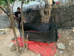 Dua Ekor Ayam dan Gelanggang Disita Tim Opsnal Polsek Rasbar Saat Penggerebekan Judi Sabung Ayam