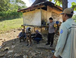 Bhabinkamtibmas Desa Sekongkang Atas Dampingi Petugas Poskeswan lakukan Vaksinasi Rabies