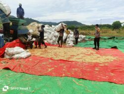 Bhabinkamtibmas Desa Hu’u Pantau Penggilingan Jagung Warga, Ingatkan Pentingnya Kualitas Panen