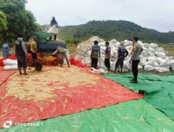 Bhabinkamtibmas Desa Hu’u Pantau Penggilingan Jagung Warga, Ingatkan Pentingnya Kualitas Panen