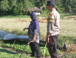 Dorong Swasembada Pangan, Bhabinkamtibmas Desa Beru Tinjau Kebun Sayur Warga