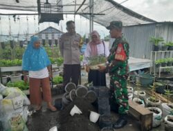 Perkuat Peran Perempuan, Kasi Sosial, Babinsa dan Bhabinkamtibmas Tinjau KWT Cendrawasih