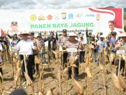 Kapolri-Mentan Panen Raya Jagung di Bone, Dukung Program Ketahanan Pangan Nasional