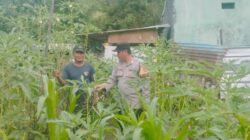 Bhabinkamtibmas Desa Mantun Aktif Monitoring Pengelolaan Pekarangan Pangan Bergizi