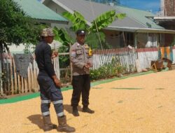 Bhabinkamtibmas Desa Daha Pantau Penjemuran Jagung Warga, Dukung Ketahanan Pangan Menuju Indonesia Emas 2045