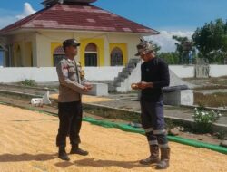 Bhabinkamtibmas Desa Daha Pantau Kegiatan Jemur Jagung Warga dalam Rangka Dukung Ketahanan Pangan Nasional