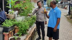 Dukung Ketahanan Pangan, Bhabinkamtibmas Seteluk Atas Dampingi Warga Kelola Pekarangan Bergizi