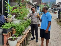 Dukung Ketahanan Pangan, Bhabinkamtibmas Seteluk Atas Dampingi Warga Kelola Pekarangan Bergizi