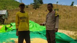 Bhabinkamtibmas Desa Ranggo Pantau Penjemuran Jagung Warga, Dukung Ketahanan Pangan Menuju Indonesia Emas 2045