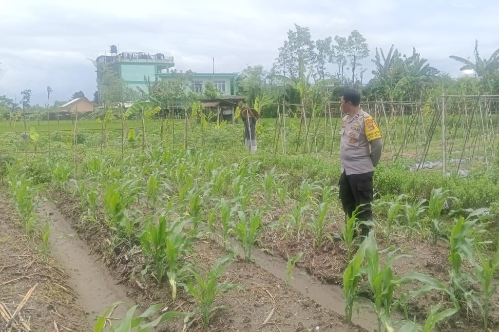 Silaturahmi Polisi dan Petani, Perkuat Pangan dan Keamanan Desa
