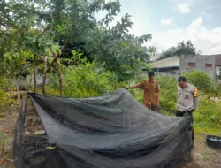 Aipda Ahyar Ajak Warga Gelogor Selatan Manfaatkan Lahan Rumah