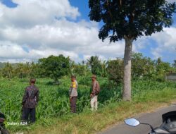 Kunjungan Bhabinkamtibmas di Lombok Barat Jadi Penyemangat Petani Lokal