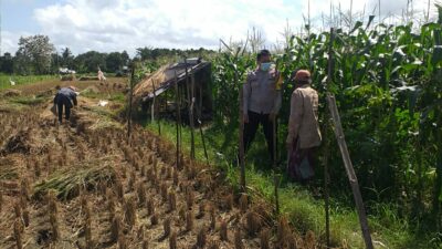 Polisi Dorong Ketahanan Pangan Desa Melalui Lahan Produktif