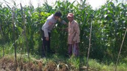 Sinergi Polri dan Warga Tingkatkan Kemandirian Pangan