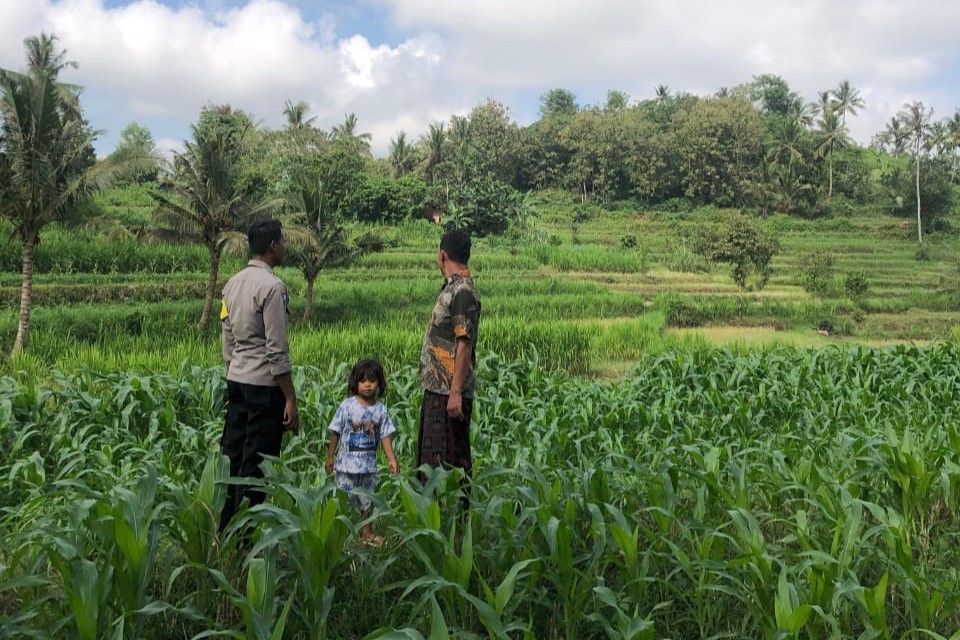 Bhabinkamtibmas Mareje Dukung Petani Jagung di Lembar