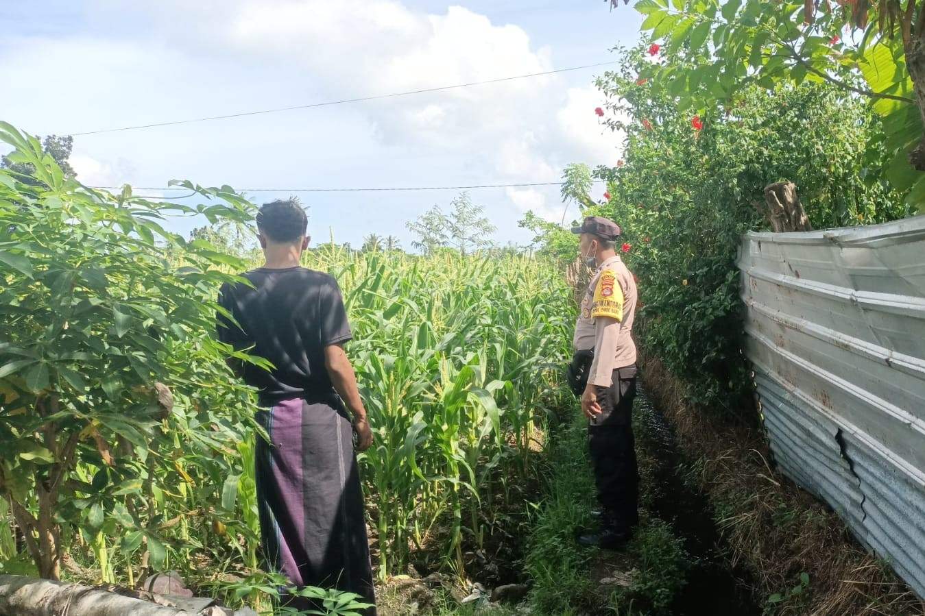 Jagung Bonanza dan Peran Polri dalam Ketahanan Pangan