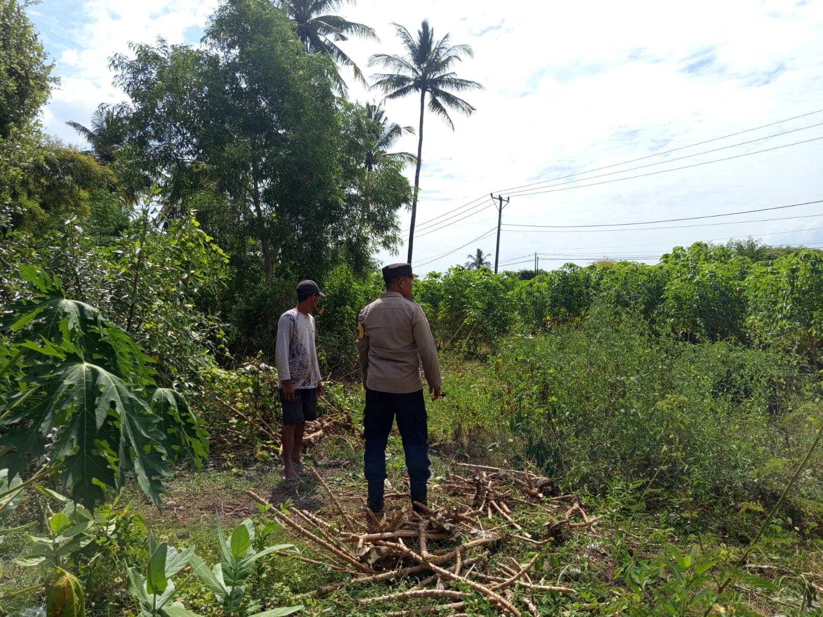 Bhabinkamtibmas Sekotong Barat Dukung Ketahanan Pangan Warga