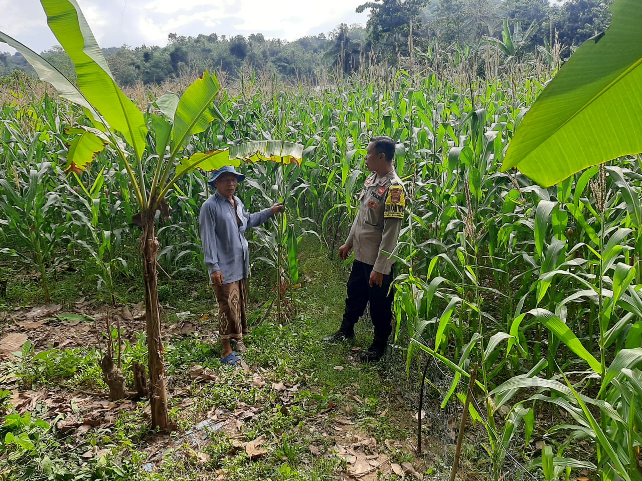Bhabinkamtibmas Sekotong Timur Dampingi Petani Dukung Ketahanan Pangan