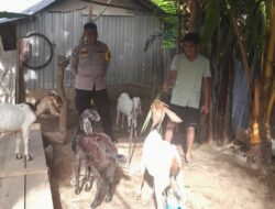 Sinergi Polisi dan Warga Wujudkan Kemandirian Pangan