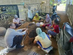 Lombok Barat Kembangkan Hortikultura Pekarangan untuk Ketahanan Pangan