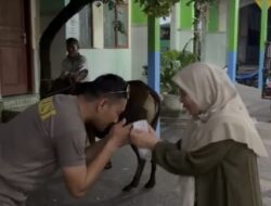 Kapolres Loteng Salurkan Hewan Kurban ke Yayasan Ponpes Qomarul Huda Bagu.