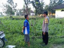 Pemanfaatan Pekarangan Rumah Didorong Bhabinkamtibmas di Kuripan
