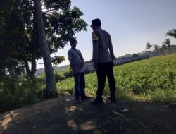 Polsek Kuripan Gencarkan Ketahanan Pangan Berbasis Rumah Tangga