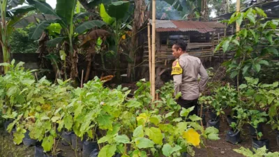 Ketahanan Pangan Dimulai dari Dusun Pesongoran, Lombok Barat