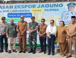 Jagung NTB Mendunia: 6.000 Ton Dikirim ke Filipina