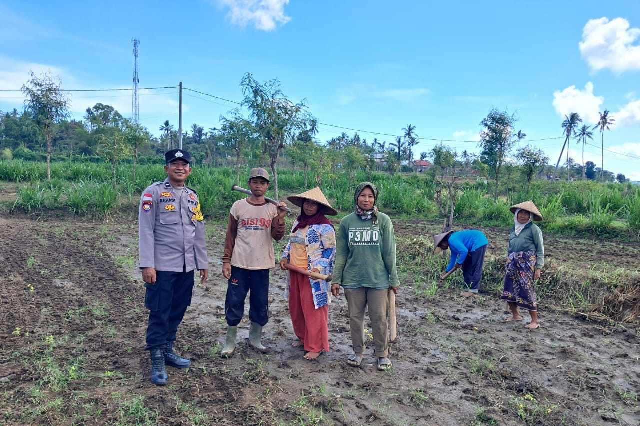 Peran Polri Dalam Swasembada Pangan di Sekotong, NTB