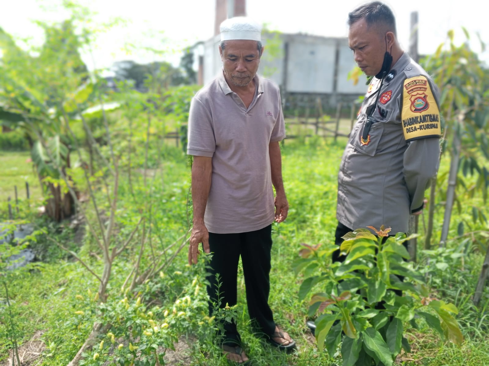 Polri Dorong Ketahanan Pangan di Desa Kuripan