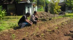 Swasembada Pangan, Polres Lombok Barat Terjun Langsung ke Masyarakat