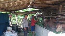 Polres Lombok Barat Perkuat Sektor Pertanian dan Peternakan