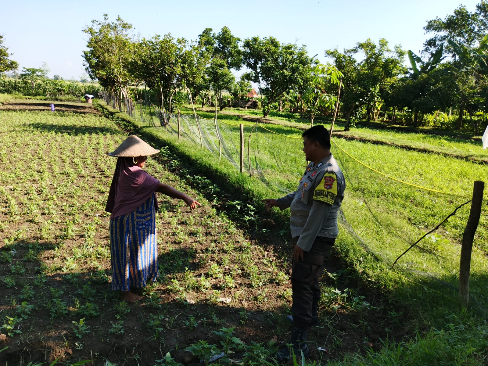 Polri di Lombok Barat Galakkan Ketahanan Pangan Skala Rumah Tangga