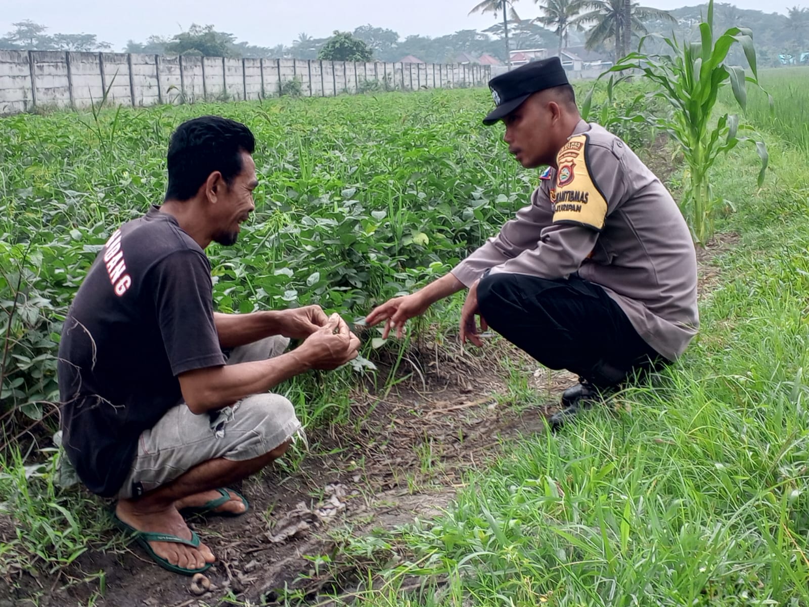 Polsek Kuripan Gandeng Warga Tongkek Wujudkan Swasembada Pangan Keluarga