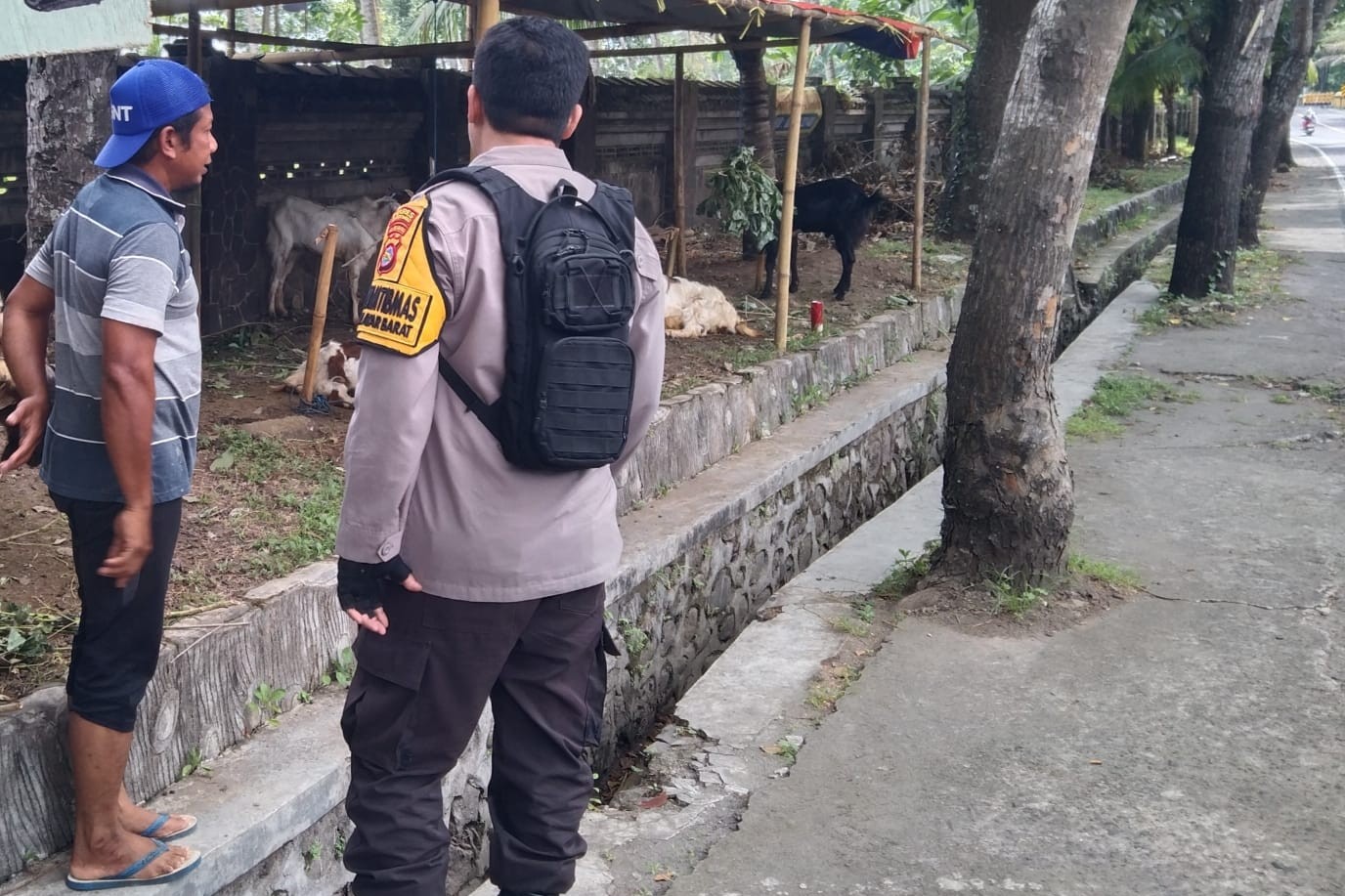 Inisiatif Bhabinkamtibmas di Lombok Barat: Pekarangan Jadi Lumbung Pangan