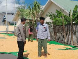 Dukung Program Ketahanan Pangan, Bhabinkamtibmas Desa Daha Laksanakan Pemantauan Hasil Panen Jagung Warga