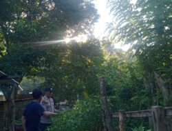 Bhabinkamtibmas Desa Senayan Galakkan Pemanfaatan Pekarangan untuk Tanaman Pangan Bergizi