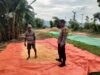 Bhabinkamtibmas Desa Cempi Jaya Lakukan Pemantauan Hasil Panen Warga Dukung Program Ketahanan Pangan Nasional