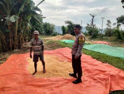 Bhabinkamtibmas Desa Cempi Jaya Lakukan Pemantauan Hasil Panen Warga Dukung Program Ketahanan Pangan Nasional