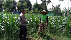 Dukung Ketahanan Pangan, Polisi Ajak Petani Manfaatkan Lahan Kosong