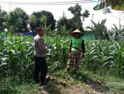 Program Ketahanan Pangan: Peran Strategis Bhabinkamtibmas di Desa Bagik Polak Barat