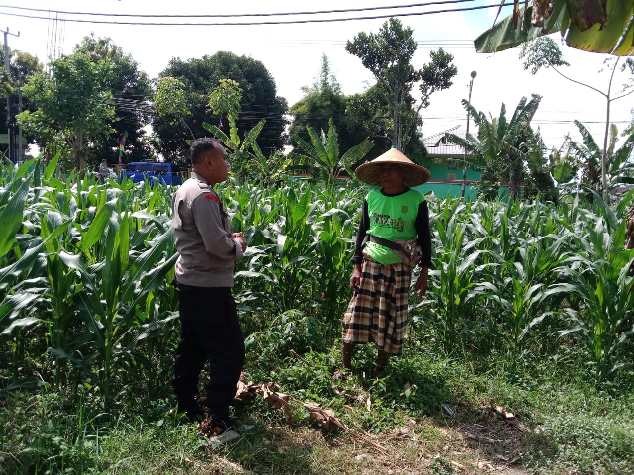 Dukung Ketahanan Pangan, Polisi Ajak Petani Manfaatkan Lahan Kosong