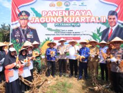 Kapolres Kampar Panen Raya Jagung: Wujud Dukungan Nyata untuk Ketahanan Pangan Nasional