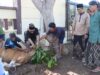 Polres Lombok Utara Rayakan Idul Adha Dengan Pemotongan Hewan Kurban